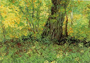 Vincent Van Gogh : Undergrowth II